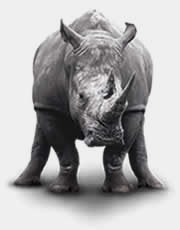 Selection-steel-rhino